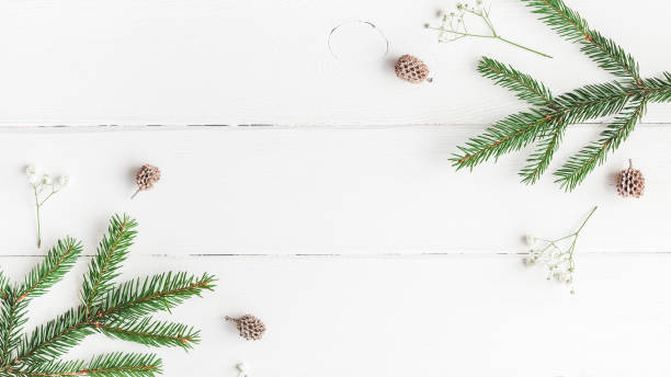 istock Fir branches, gypsophila flowers. Flat lay, top view 883727008