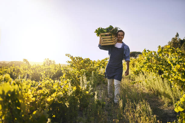 istock He's a man on a farming mission 883729368