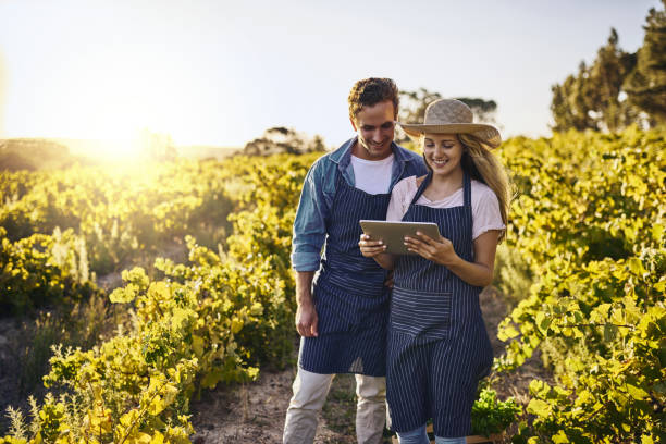 istock Making the season a fruitful one with smart technology 883729404