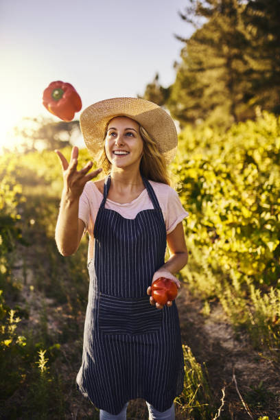 istock Play with your food. It's good for you 883729416