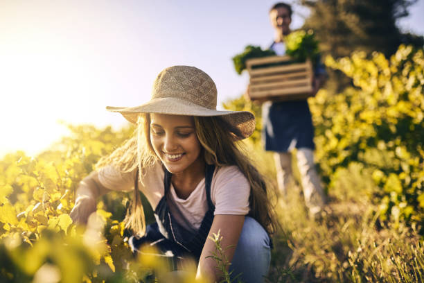 istock Time spent farming is time well spent 883729468
