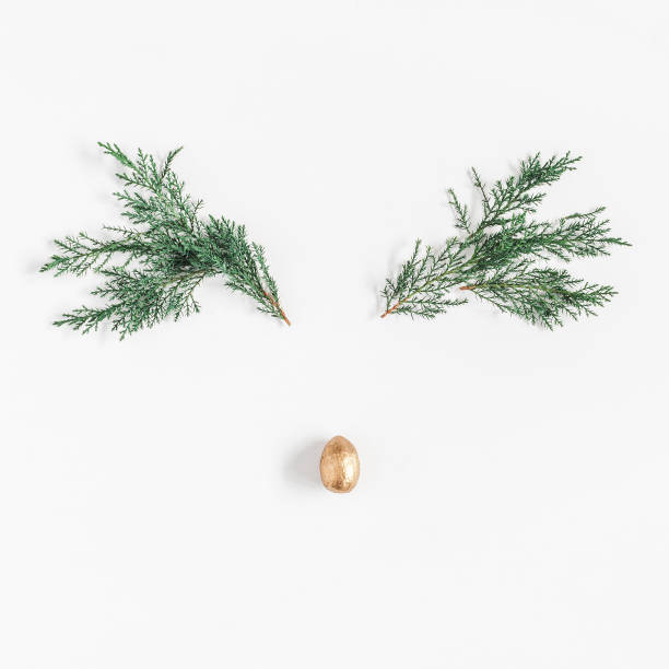 istock Christmas reindeer on white background. Flat lay, top view, square 883730010