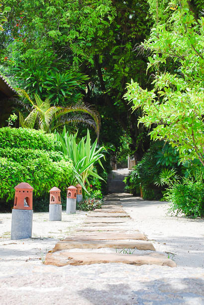 istock Beautiful tropical garden in summer 883738860