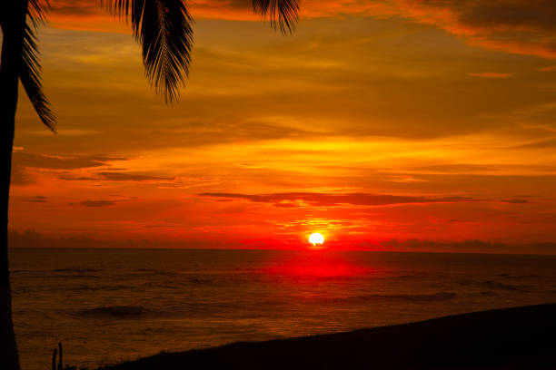 istock Colourful Sunset In Costa Rica 883740014