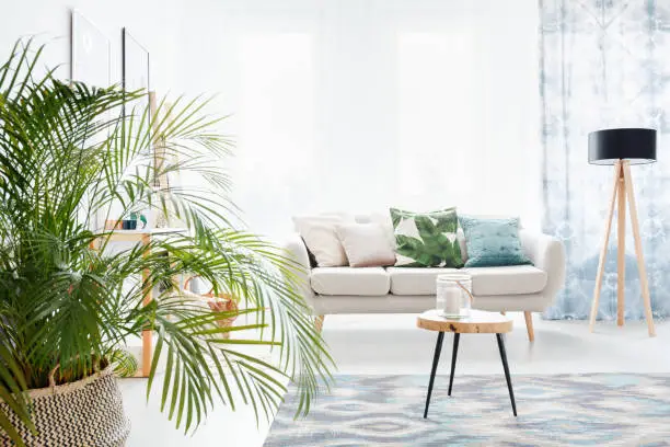 Plant in bright living room with wooden table on carpet and lamp next to sofa with floral pillow