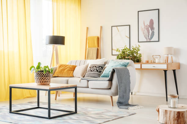 pflanze in der warmen stube - living room blue sofa carpet stock-fotos und bilder