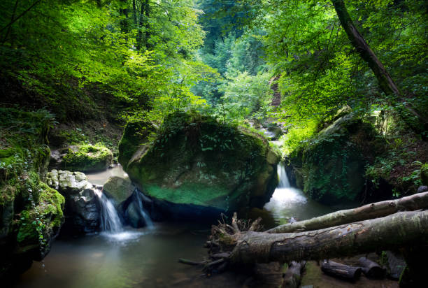 istock Two waterfalls and a pond in the forest in summer 883783906