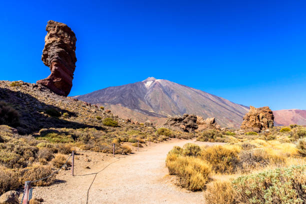 istock Roque Cinchado, Teide, Tenerife, Spain 883818696