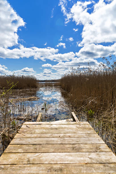 istock View of the lake 883829260