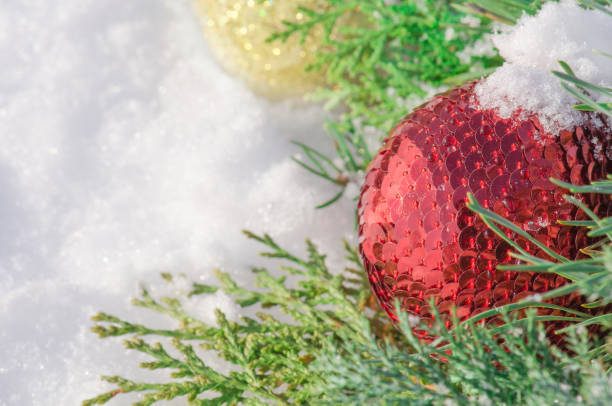 istock Christmas background  with  fir branches, ornaments on white snow background 883830278