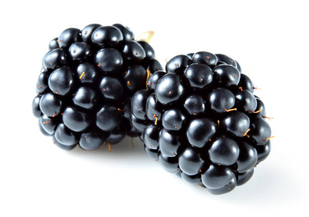 istock Blackberry isolated on white. Blackberries. 883834106