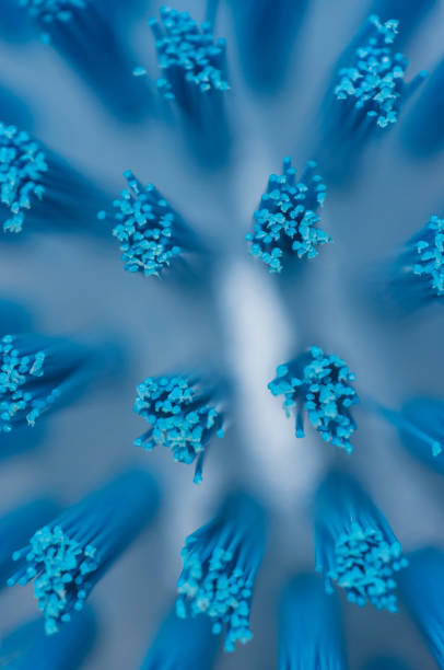 istock macro of foam particles 883834116
