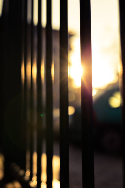 istock Metal Fence, Sunshine 883839788