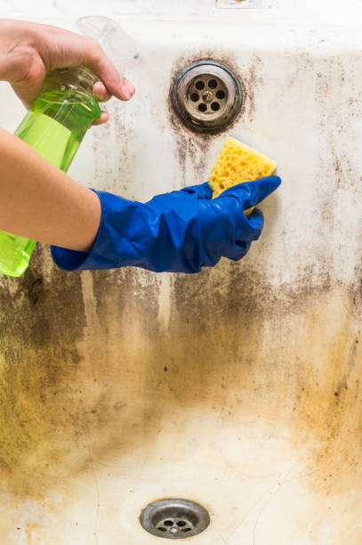 istock Hands in blue rubber worker hand gloves hold sponge and spray with detergent clean bath tub covered in fungus, dirt and mold 883841930