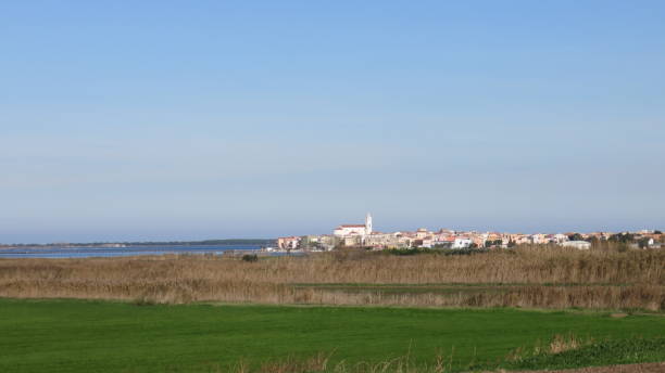 istock panorama of lesina 883847562