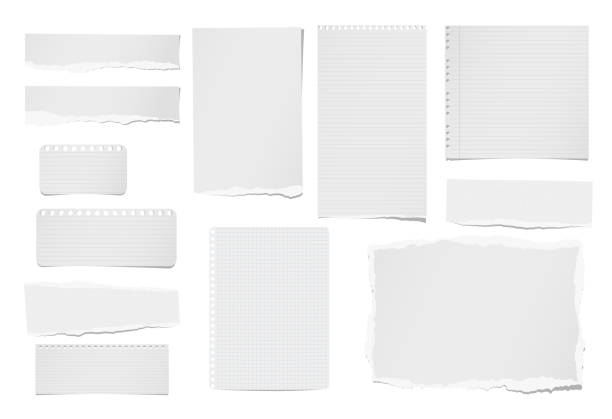 ilustraciones, imágenes clip art, dibujos animados e iconos de stock de rasgado nota gobernada y en blanco, cuaderno, tiras de papel, hojas de tex o mensaje pegan sobre fondo blanco. - paper notebook ruled striped