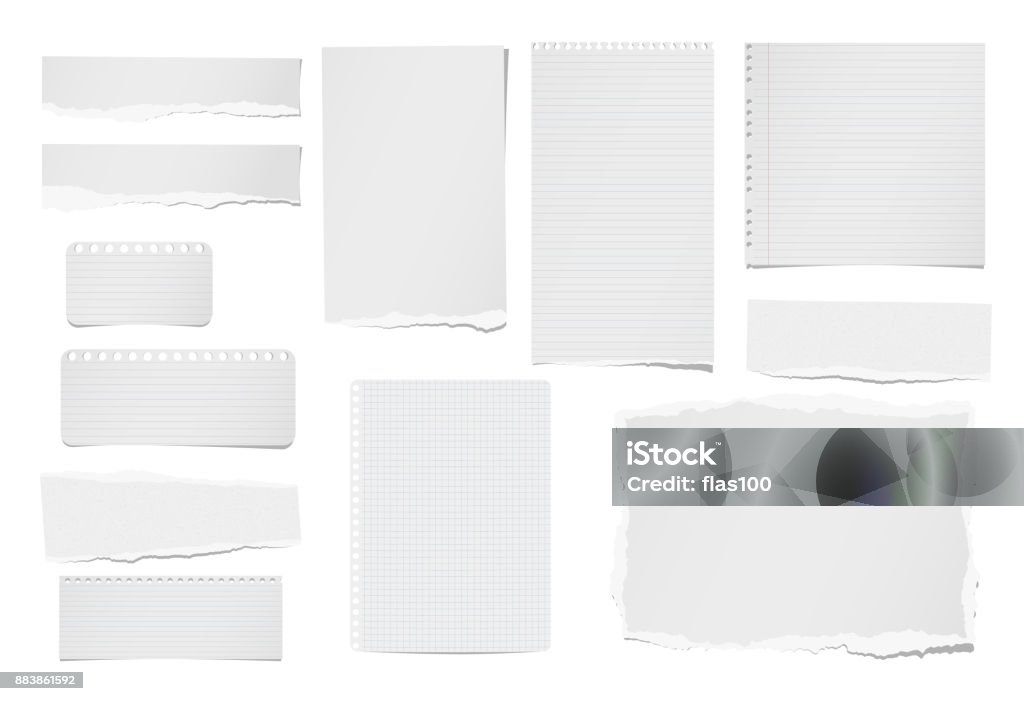 Paper Strips Ripped Notebook Torn Notebook Paper Strip