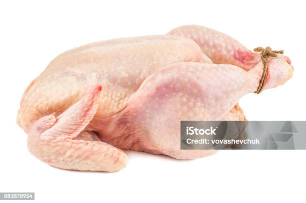 Isolated Chicken Corp Stock Photo - Download Image Now - Turkey Meat, Raw Food, Chicken - Bird