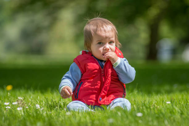 istock Baby boy sitting in meadow 883886846