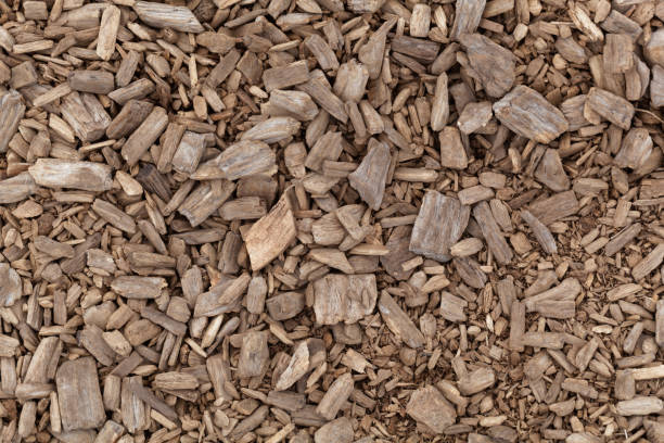 istock Brown shredded wood as mulch 883959488