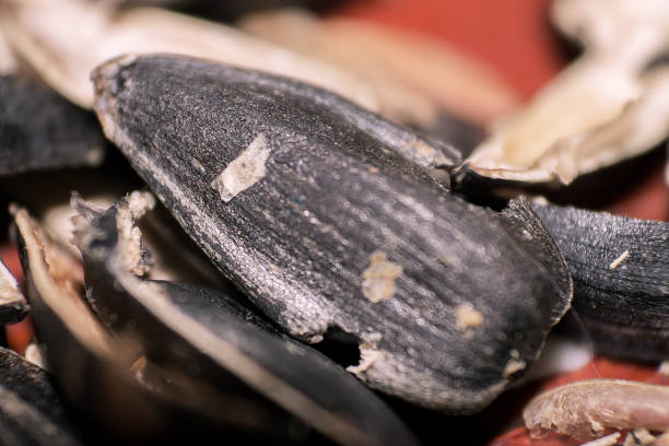 istock peel of sunflower seeds in macro on the table 883964724