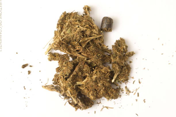 hashish cannabis  hemp - white indian hemp imagens e fotografias de stock