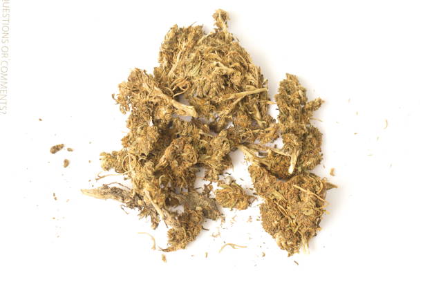 hashish cannabis  hemp - white indian hemp imagens e fotografias de stock