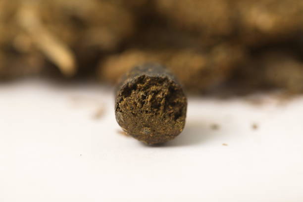 hashish cannabis  hemp - white indian hemp imagens e fotografias de stock