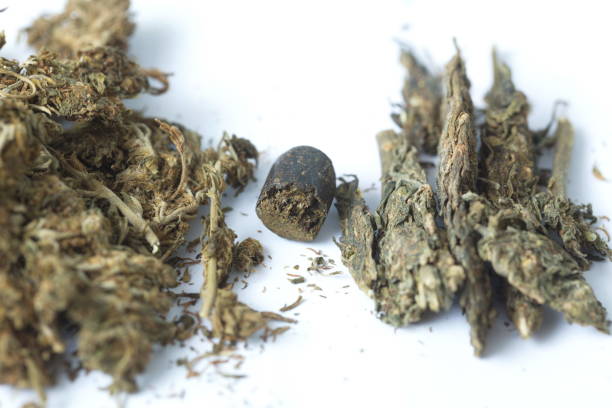 hashish cannabis  hemp - white indian hemp imagens e fotografias de stock