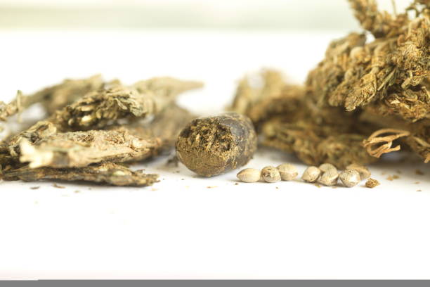 hashish cannabis  hemp - white indian hemp imagens e fotografias de stock