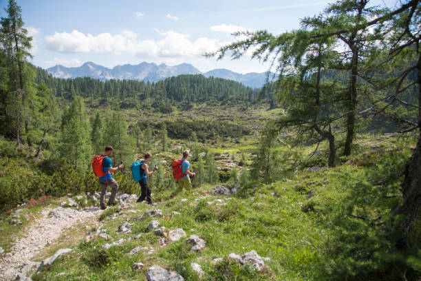 istock Hikers hiking through mountain trail 883969466