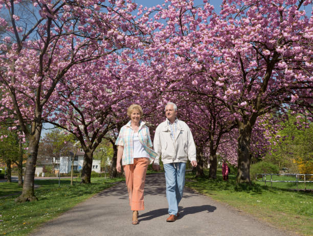 couple de personnes âgées actives marche sous la floraison des cerisiers - holding hands couple senior couple togetherness photos et images de collection