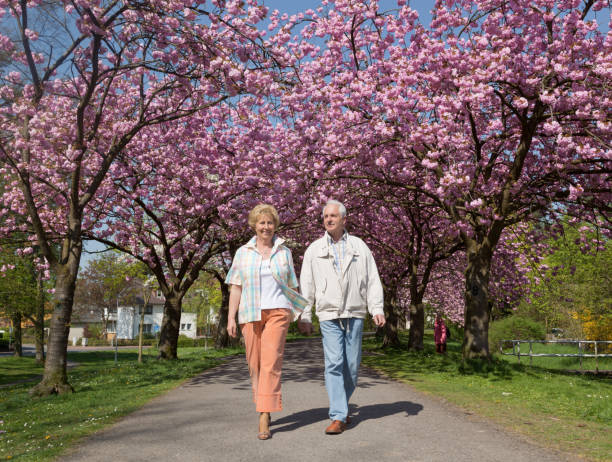 Active senior couple walking under blooming cherry trees