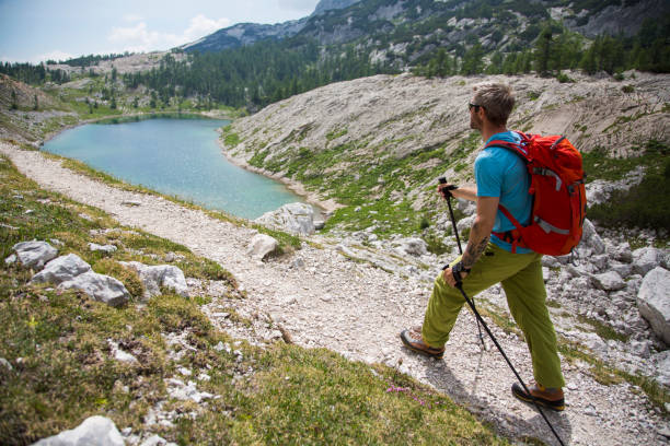 istock Hikers holding hiking pole and walking 883977840