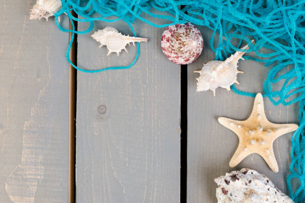 istock Seashells with blue net on grey wooden background. Flat lay. 883982174