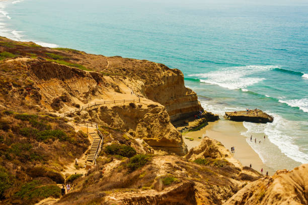 torrey pines state reserve con black's beach, san diego - torrey pines state reserve foto e immagini stock