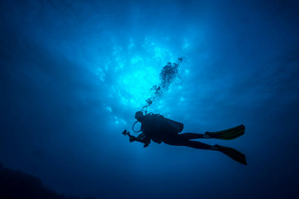 istock Female Diver - Palau, Micronesia 883995610
