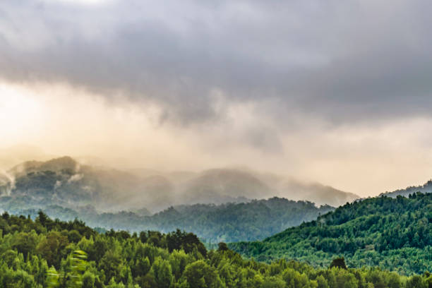 istock Patagonia Landscape, Puyuhuapi, Chile 884000236