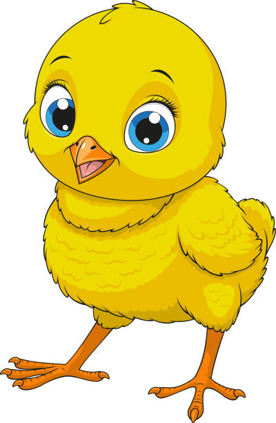 illustrazioni stock, clip art, cartoni animati e icone di tendenza di piccolo pollo divertente - animal young bird baby chicken chicken