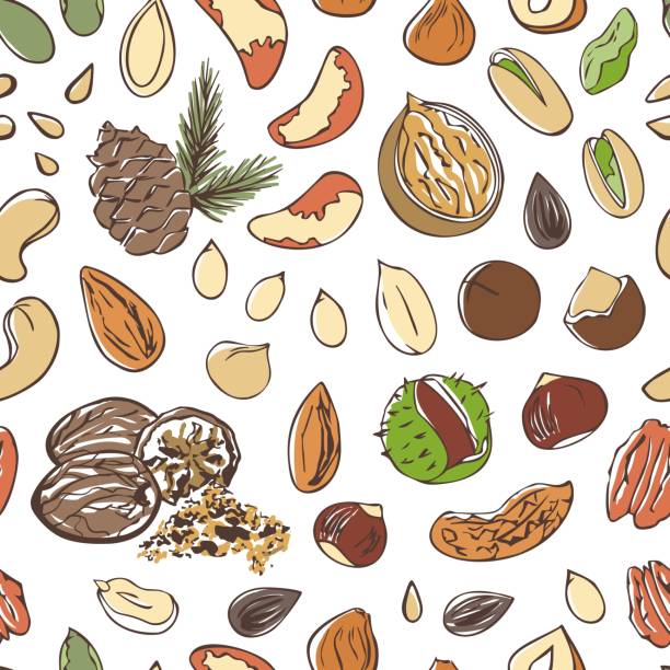 печатать - nut walnut almond brazil nut stock illustrations