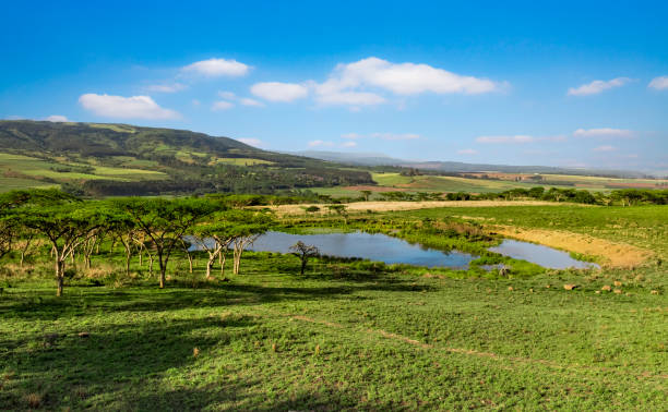 Drakensberg mountains South Africa landscape