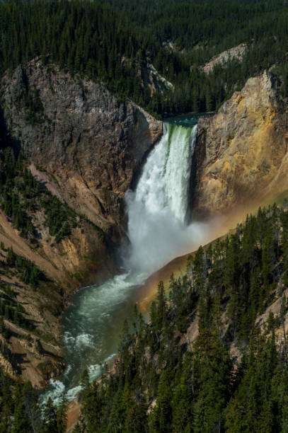 Lower Yellowstone Falls, Wyoming - fotografia de stock