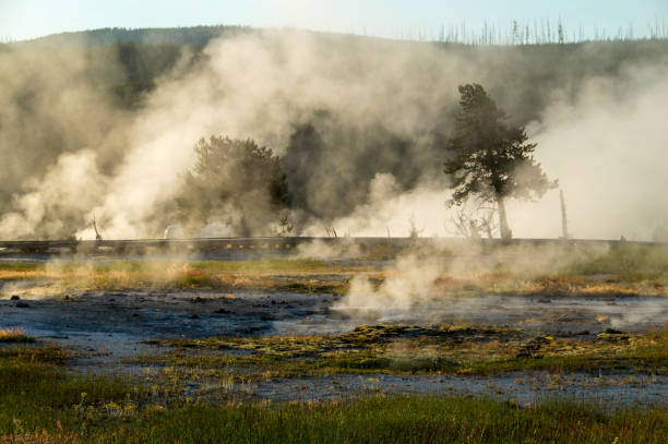 Black opal pool at Biscuit basin in Yellowstone park - fotografia de stock