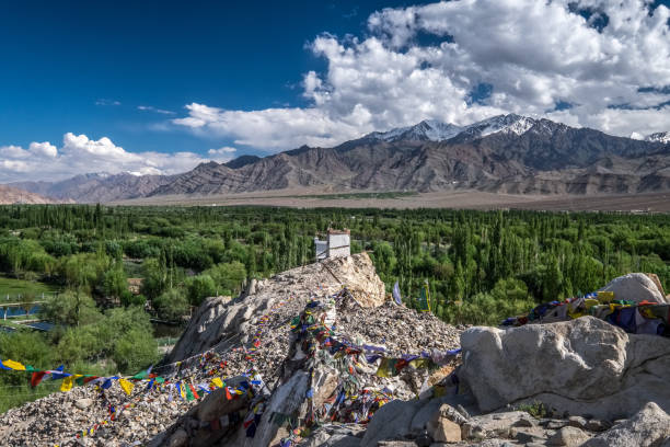 istock Landscape around Shey Monastery in Ladakh, India 884020026