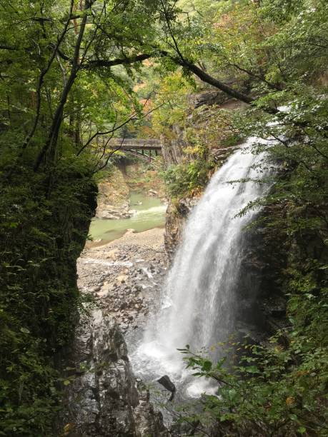 istock Kinugawa Ryuokyo valley in Japan. 884023080