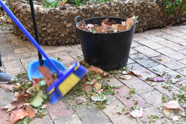 istock picking the leaves from the ground in autumn 884029122