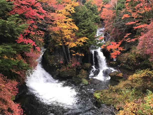 istock Ryuzu falls in autumn. 884032502