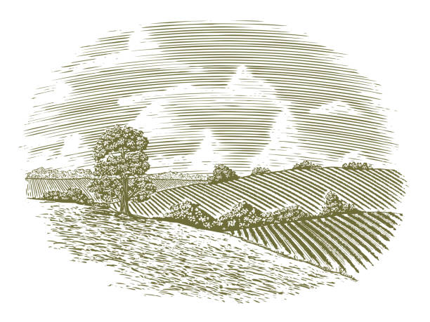 Woodcut Vintage Countryside Woodcut illustration of a country scene. woodcut illustrations stock illustrations