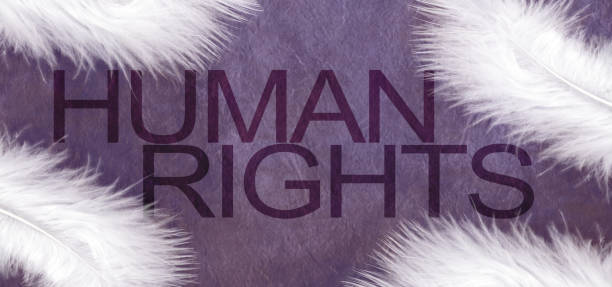 istock Human Rights White Feathers of Peace Background 884038818