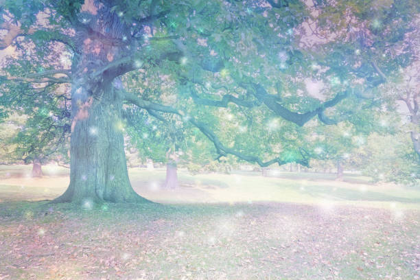 Big old oak tree with ethereal lighting and many different coloured orb lights depicting spiritual entities with copy space